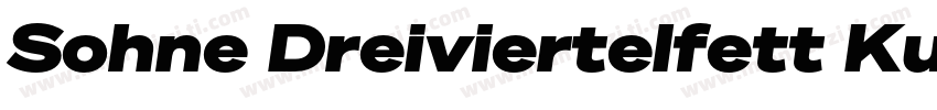 Sohne Dreiviertelfett Kursiv字体转换